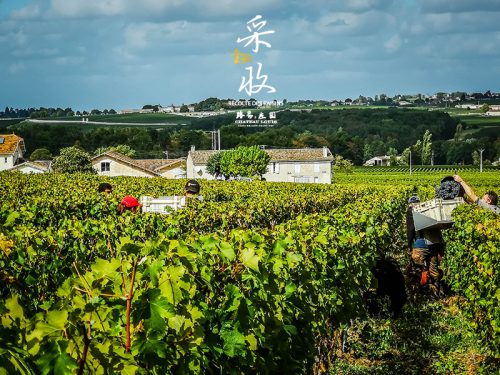 探秘法国路易红酒：品味法国经典的醇美佳酿